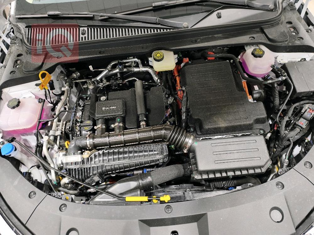 بي واي دي كوين L DM-i